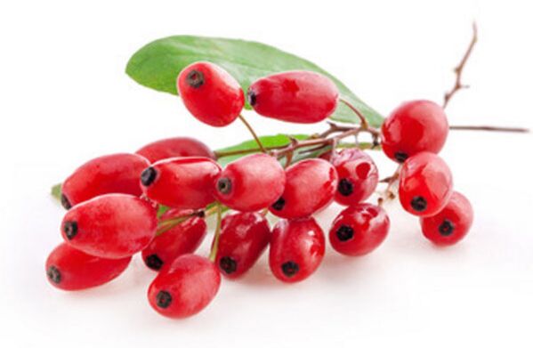barberry berries to avoid alcohol