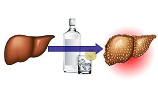 the effects of alcohol on the liver